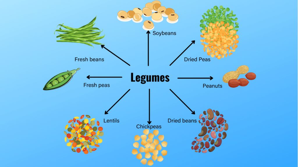 Legumes